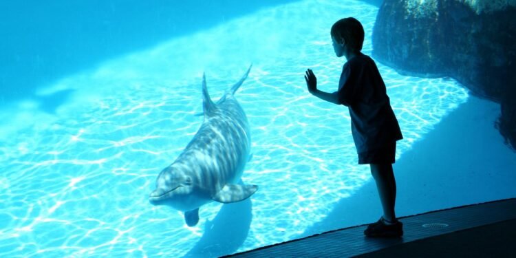SeaWorld Promo Code & Discount Tickets: Save Up to 50% in May 2026
