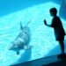 SeaWorld Promo Code & Discount Tickets: Save Up to 50% in May 2026