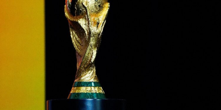 Soccer-FIFA officials to meet Iranian FA to discuss World Cup on Saturday, says source