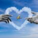 Spirit’s cheap flights kept long-distance relationships alive. Now these couples are scrambling to stay connected.