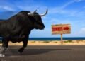 Stocks are riding an earnings hot streak — but investors are facing a summer that’s rife with risks