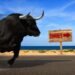 Stocks are riding an earnings hot streak — but investors are facing a summer that’s rife with risks