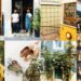 The Best Shopping in Lisbon For Antiques, Tinned Fish, and More