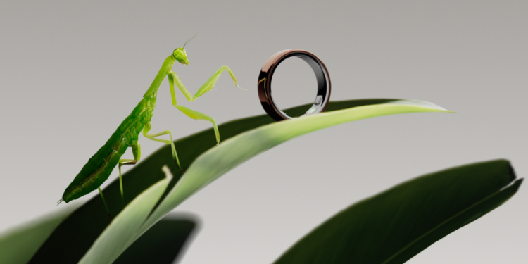 The Oura Ring 5 Is Official, and Starts Shipping Next Week