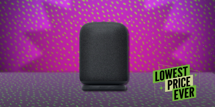 The Sony LinkBuds Wireless Portable Bluetooth Speaker Is 46% Off Right Now