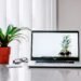The ultimate guide to finding a job in 2026