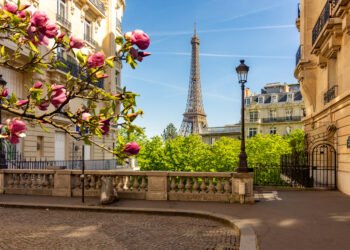 Tikehau hires head of France as it expands presence in region