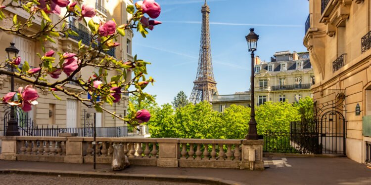 Tikehau hires head of France as it expands presence in region