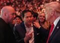 UFC's Dana White urges Trump to reverse gambling tax law