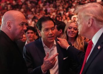 UFC's Dana White urges Trump to reverse gambling tax law