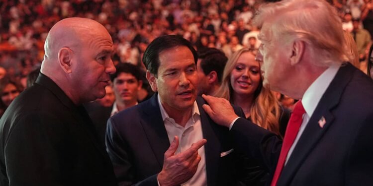 UFC's Dana White urges Trump to reverse gambling tax law