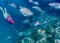What Scuba Diving and Breathwork Taught Me About Staying Calm Under Pressure