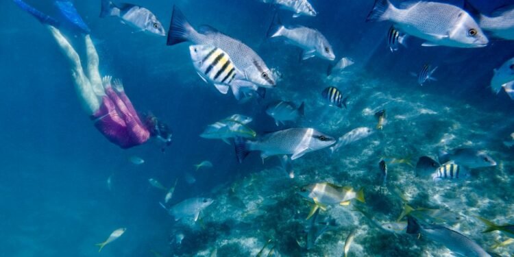 What Scuba Diving and Breathwork Taught Me About Staying Calm Under Pressure