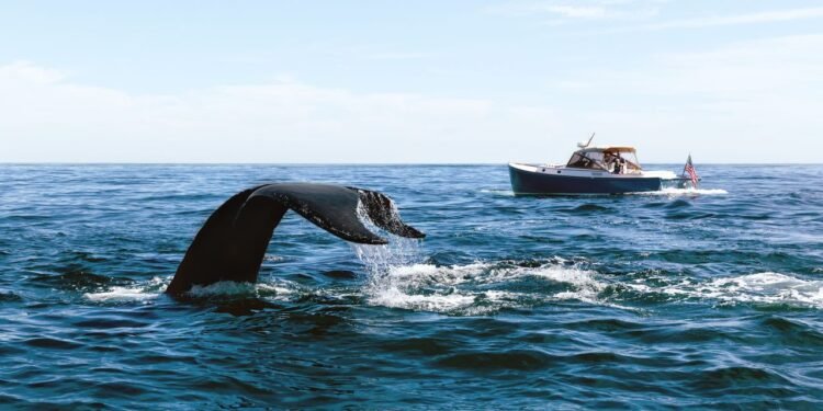 What's New on Cape Cod and the Islands This Summer—and the Underrated Spots to Explore