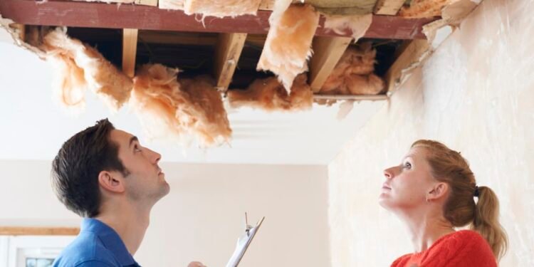 ‘Credit termites’ are lurking in the bond market and eating away at your portfolio