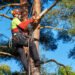 ‘He threatened to cut the roots’: A tree fell onto my neighbor’s property during a storm. Then all hell broke loose.