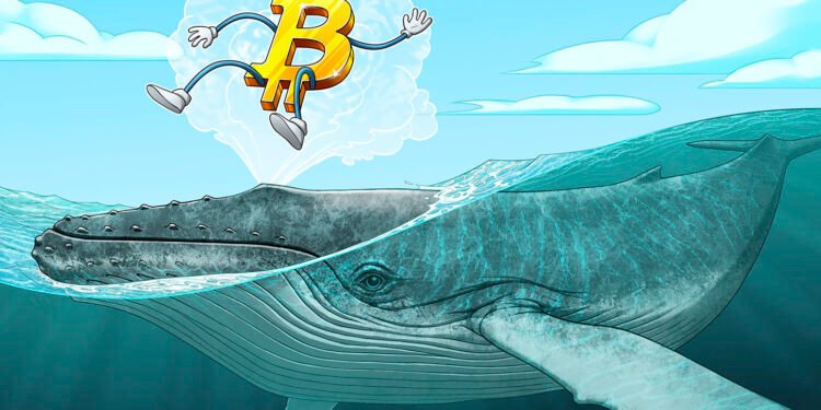Cointelegraph