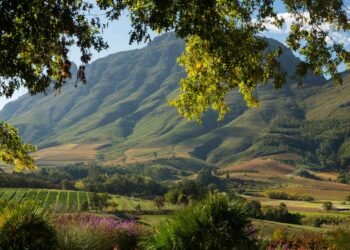 7 Best Family Vacation Spots in the World