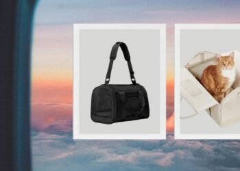 7 Best Pet Carriers to Keep Dogs and Cats Comfortable and Safe in Transit