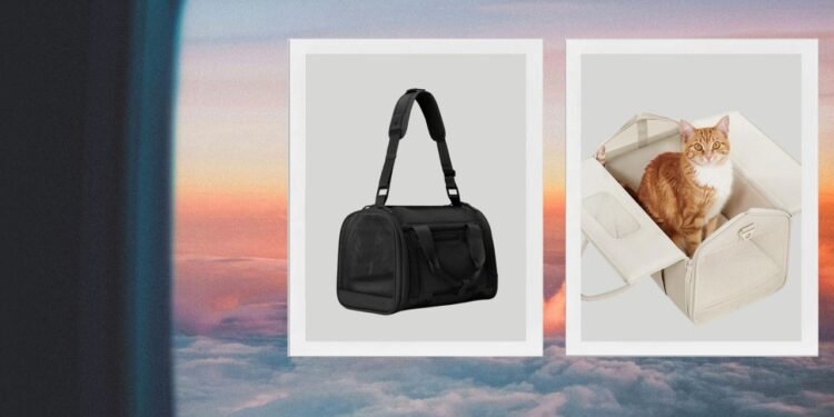 7 Best Pet Carriers to Keep Dogs and Cats Comfortable and Safe in Transit