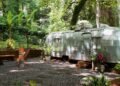 9 Vintage Trailers That Have Found a Second Life as Airbnbs