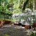 9 Vintage Trailers That Have Found a Second Life as Airbnbs