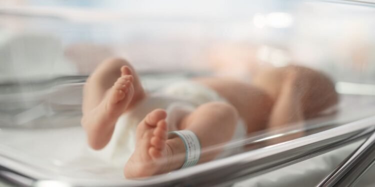 Another dire problem for Social Security: Trustees may be calculating the birth rate wrong