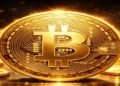 Best Crypto To Buy Today
