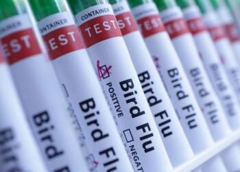 Australia vows to rein in any H5N1 birdflu after confirming first case