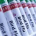 Australia vows to rein in any H5N1 birdflu after confirming first case