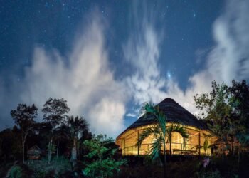 Ayahuasca Retreat: What They're Really Like—And How to Choose One