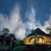 Ayahuasca Retreat: What They're Really Like—And How to Choose One