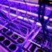Bitcoin miner and AI firm Ionic Digital files for Nasdaq direct listing