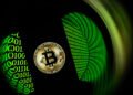 Bitcoin’s sagging price has crypto bears taking a victory lap. Why it’s too soon to count it out.