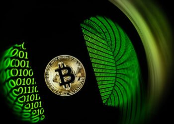 Bitcoin’s sagging price has crypto bears taking a victory lap. Why it’s too soon to count it out.