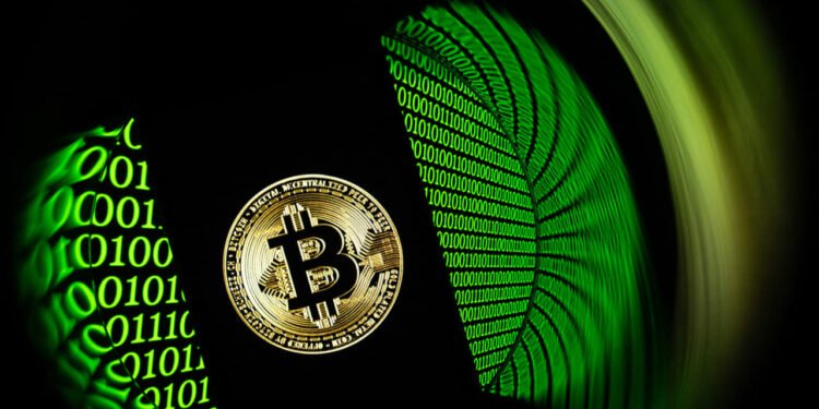 Bitcoin’s sagging price has crypto bears taking a victory lap. Why it’s too soon to count it out.