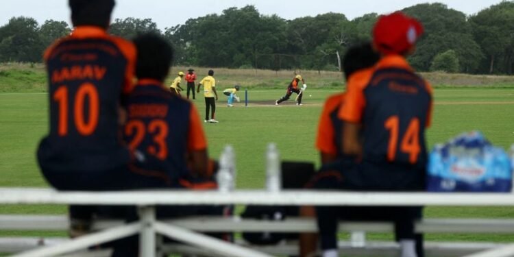 Cricket-Houston’s cricket boom aims to follow in soccer’s footsteps