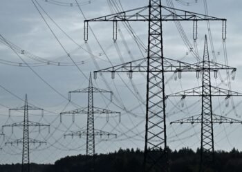 Global business leaders back faster electrification shift