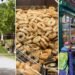 How Montreal’s Once-Buzzy Mile End Has Remade Itself Once Again