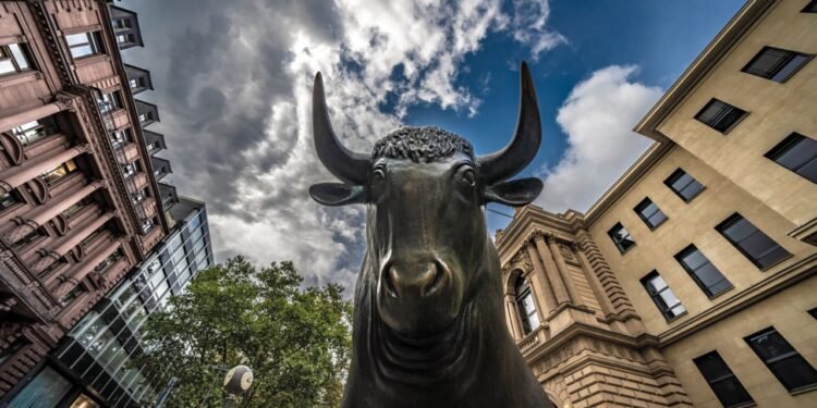 How exploding retail euphoria and leveraged ETFs turned one stock-market bull cautious