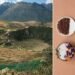 In Peru's Sacred Valley, a Rare and Immersive Dining Experience at Mil Taps Into Ancient Traditions