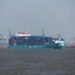 India, US near trade pact as tariff terms hinge on Section 301 relief, source says