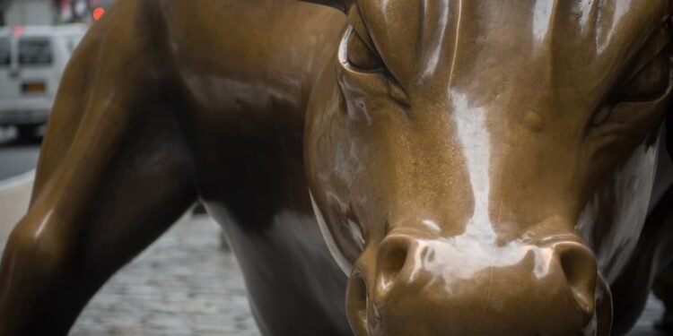 Investors are piling into bullish options bets — another sign that the stock market is getting overheated