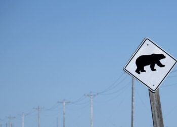 Micron, Intel drag the tech sector into a new bearish phase. Will the correction last this time?