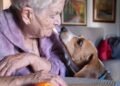 My elderly mother and I own a home together. Will Medicaid force its sale?