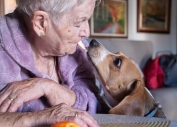 My elderly mother and I own a home together. Will Medicaid force its sale?
