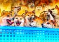 Paxos Adds Dogecoin to Brokerage and Custody Platform
