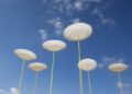 Penny Blue Capital spins out as standalone private credit manager