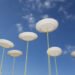 Penny Blue Capital spins out as standalone private credit manager