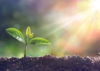 SRT market boom set for five more years of solid growth